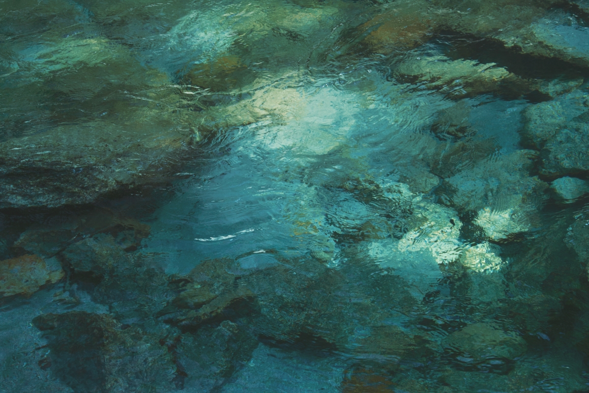 Brewing inspired by the waters of Hakushu