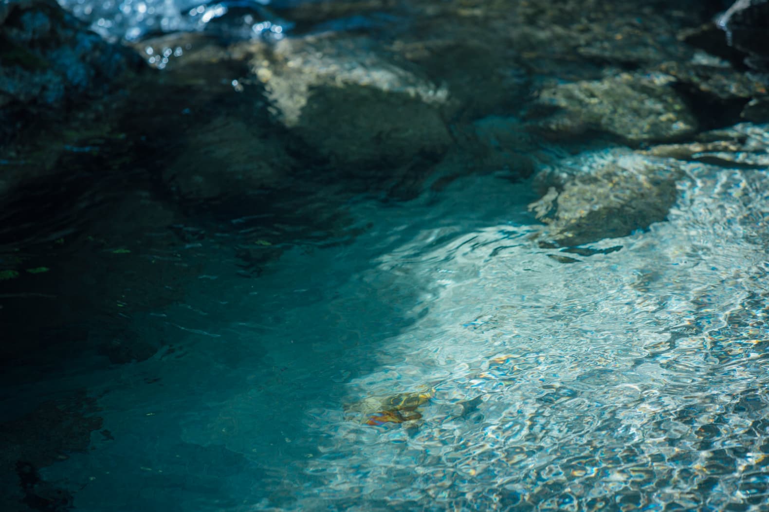 Step outside the brewery to visit the waters of Hakushu